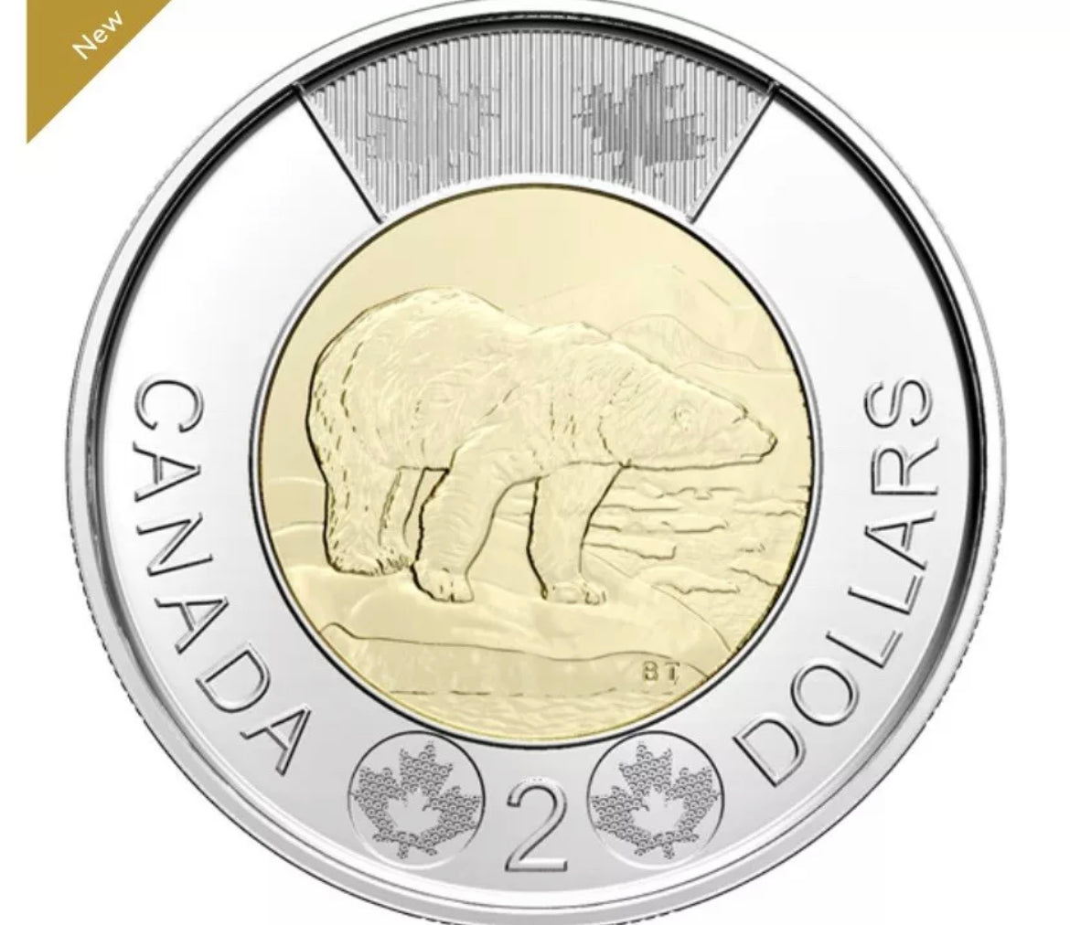 Complete Set of 6 2022 Canada Coins Loonie Toonie. Mint UNC $2 $1 50c 25c 10c 5c