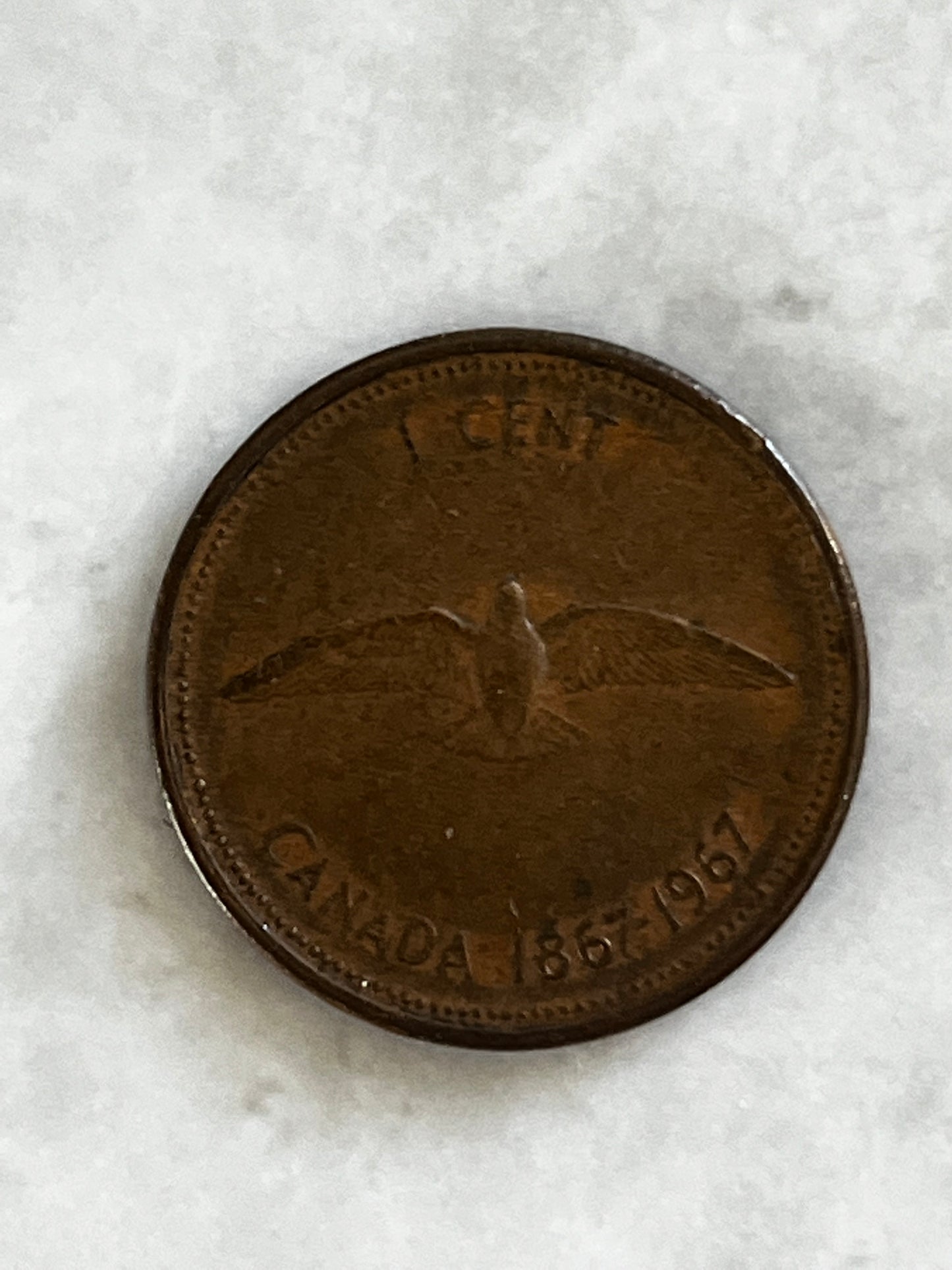 1967 Canadian Dove Penny Circulated Brown Cent Queen Elizabeth II “ROCK DOVE PENNY”